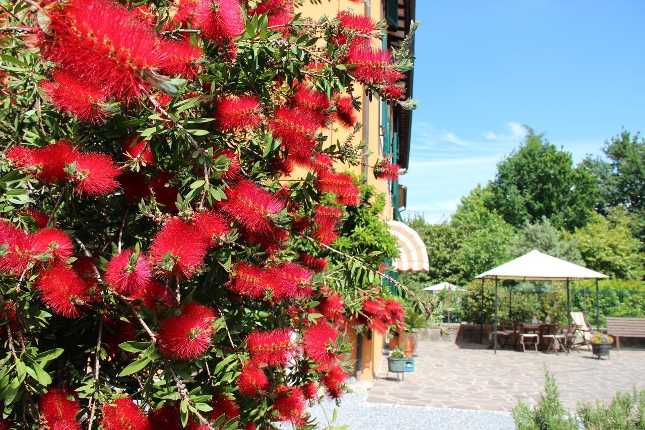 Bed & Breakfast Lucca Fora Capannori