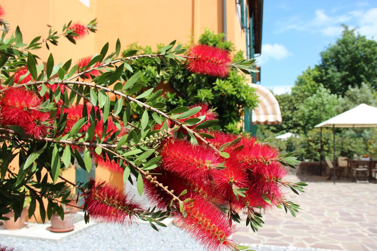Lucca Fora *